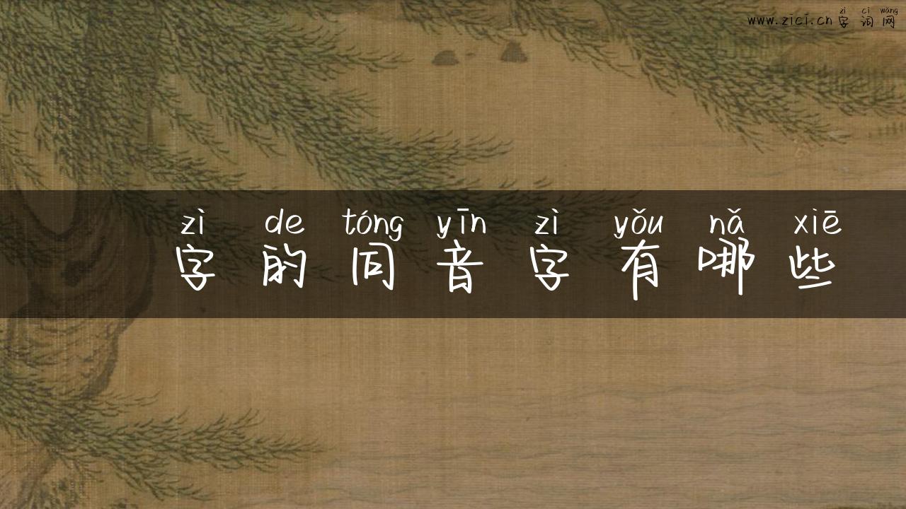 猯字的同音字有哪些