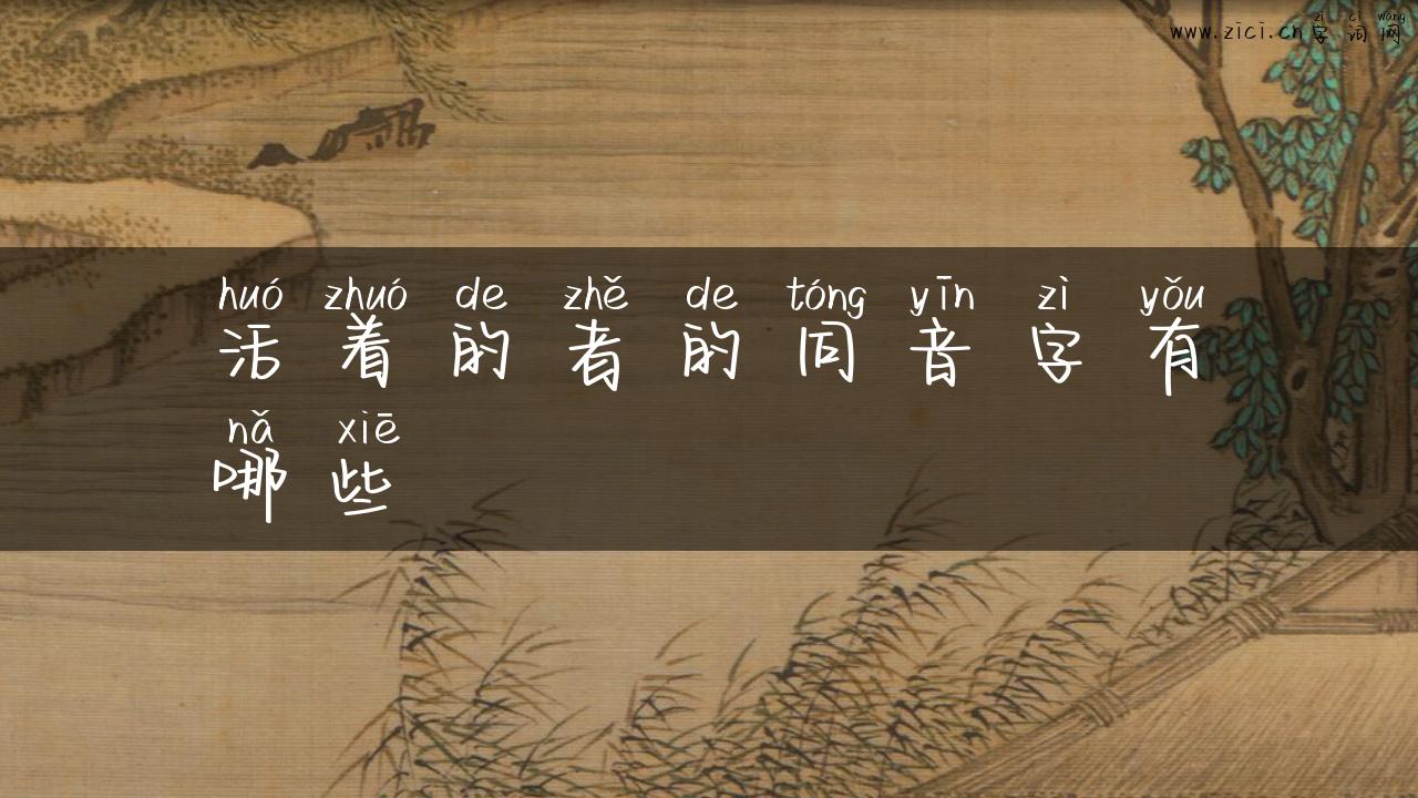 活着的者的同音字有哪些