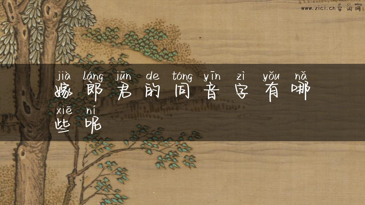 嫁郎君的同音字有哪些呢