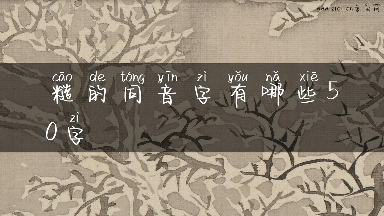 糙的同音字有哪些50字