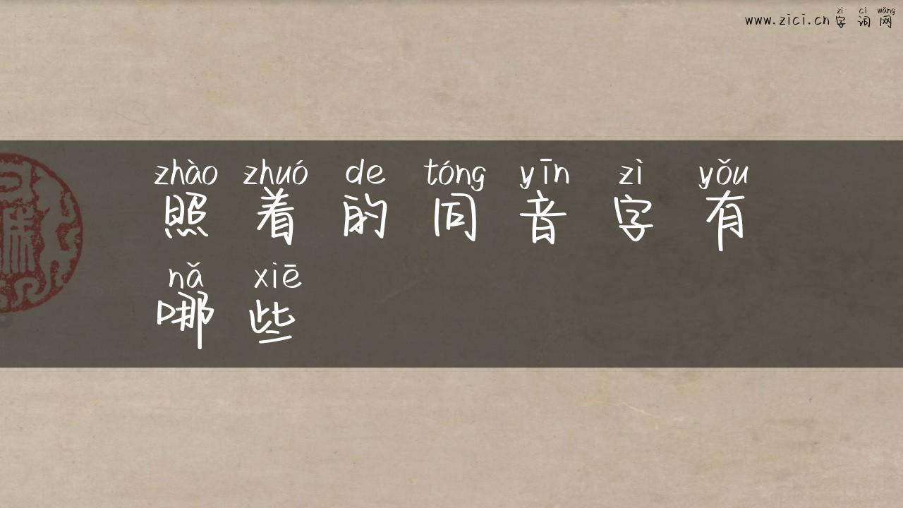照着的同音字有哪些