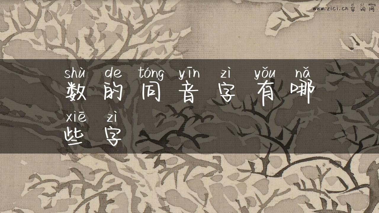 数的同音字有哪些字