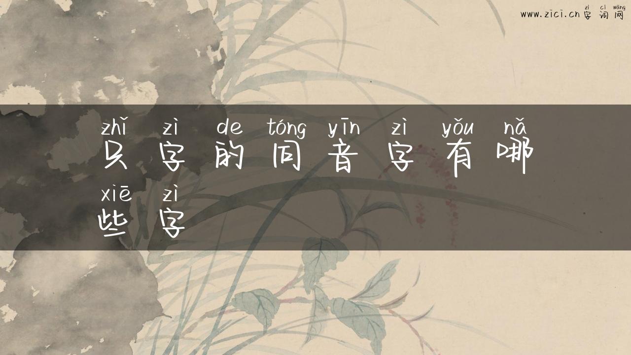 只字的同音字有哪些字