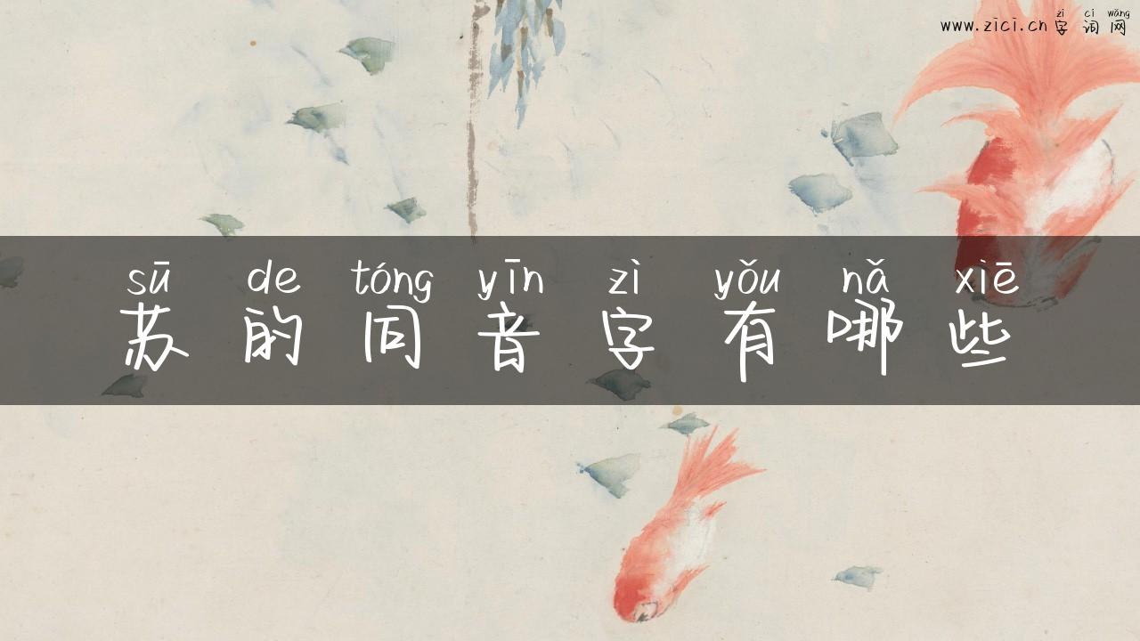 苏的同音字有哪些