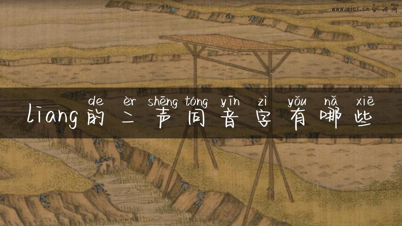 liang的二声同音字有哪些