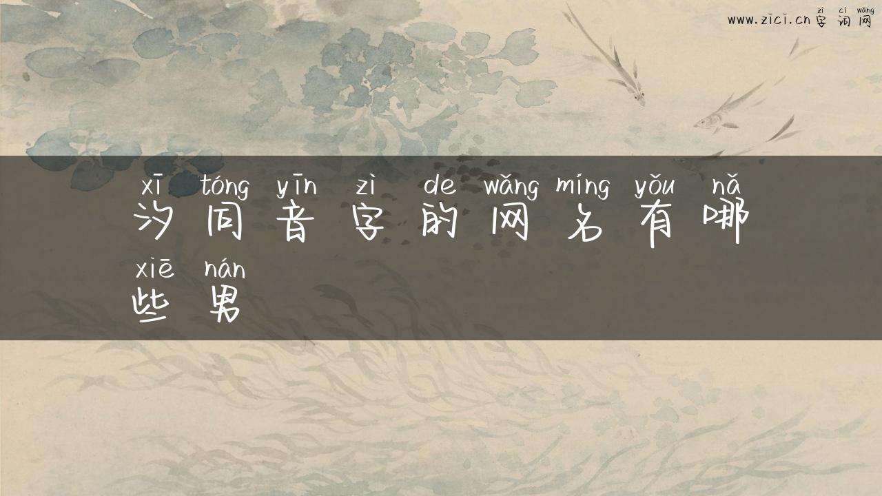 汐同音字的网名有哪些男