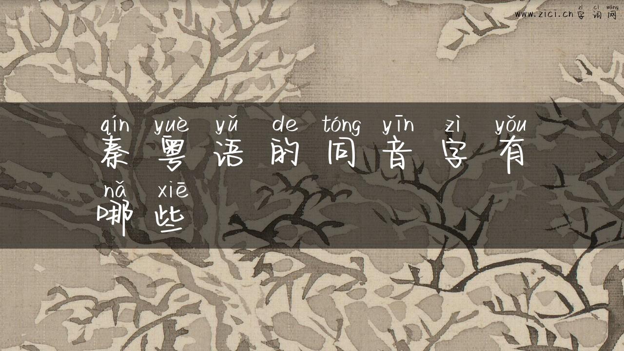 秦粤语的同音字有哪些