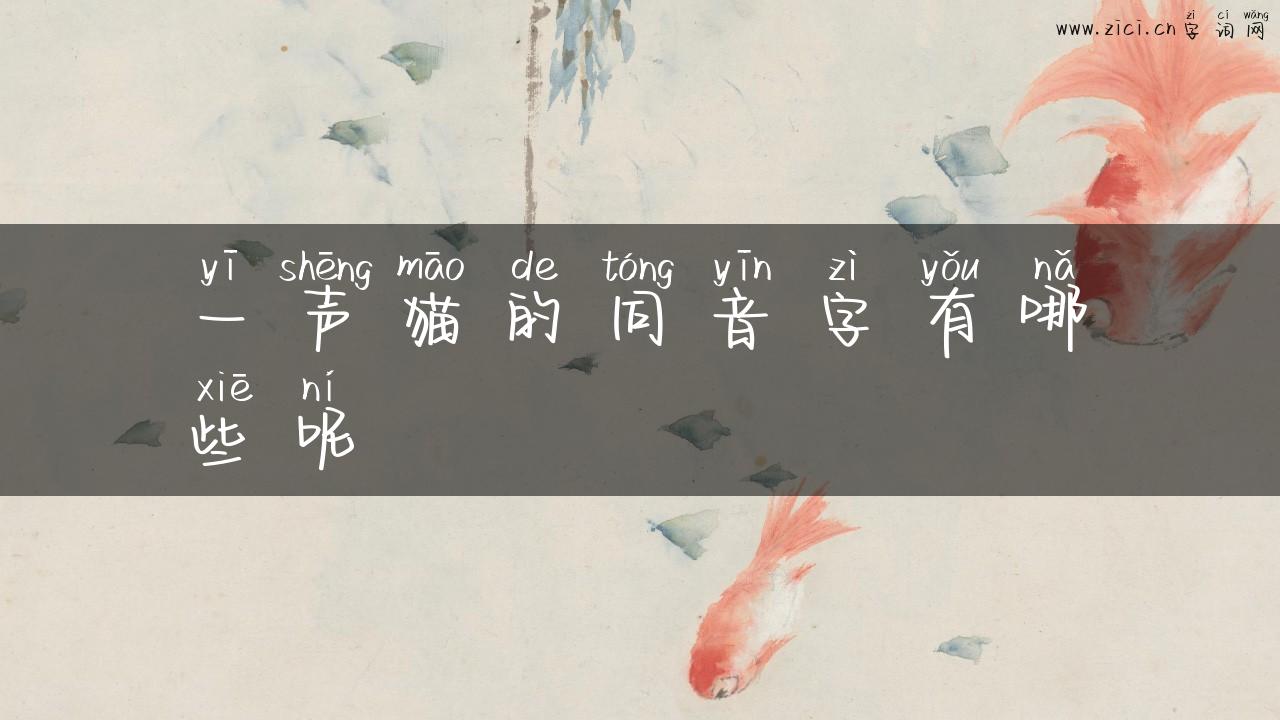 一声猫的同音字有哪些呢