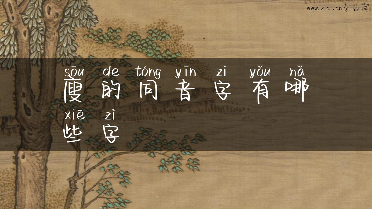 廋的同音字有哪些字