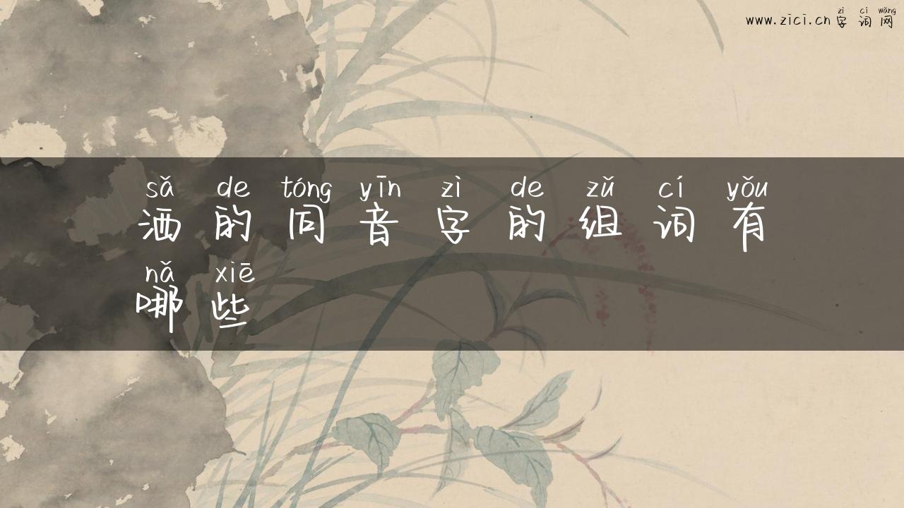 洒的同音字的组词有哪些
