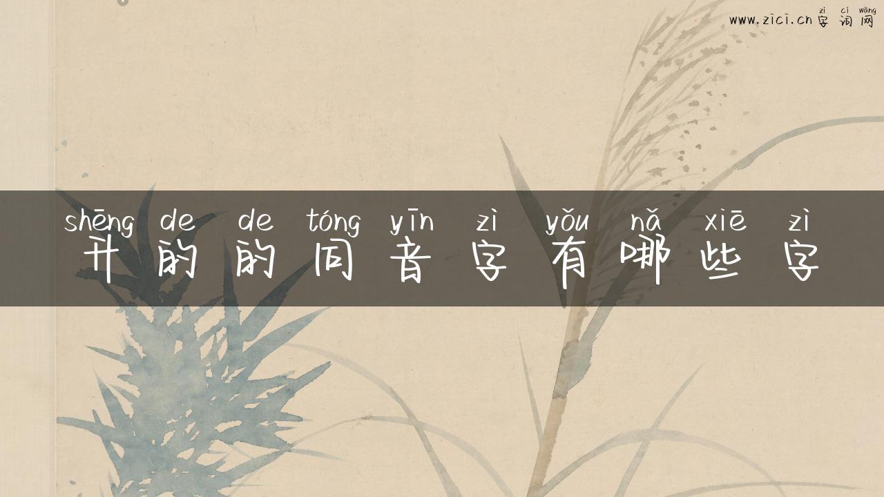 升的的同音字有哪些字