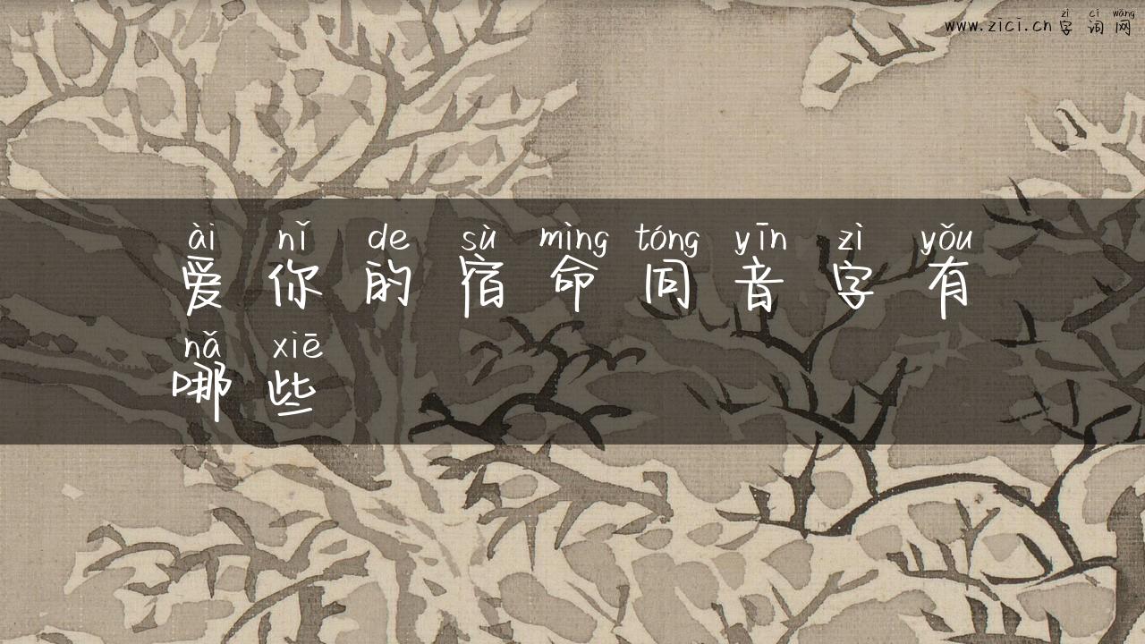 爱你的宿命同音字有哪些