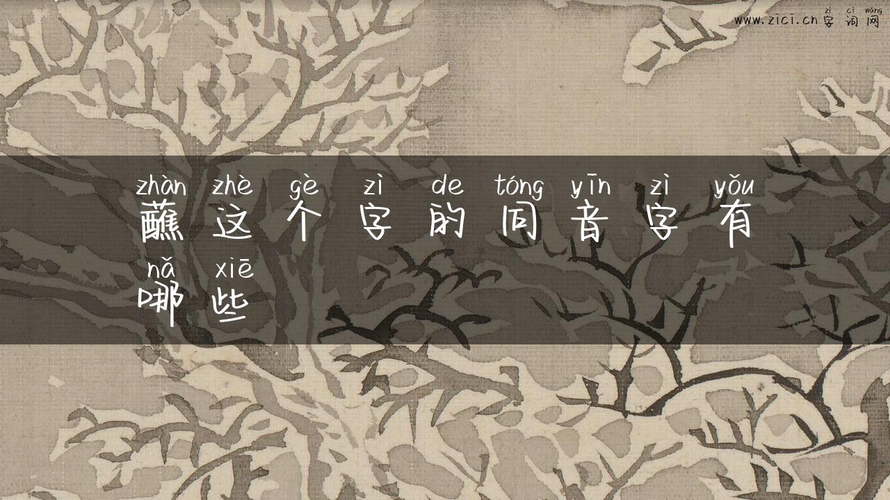 蘸这个字的同音字有哪些