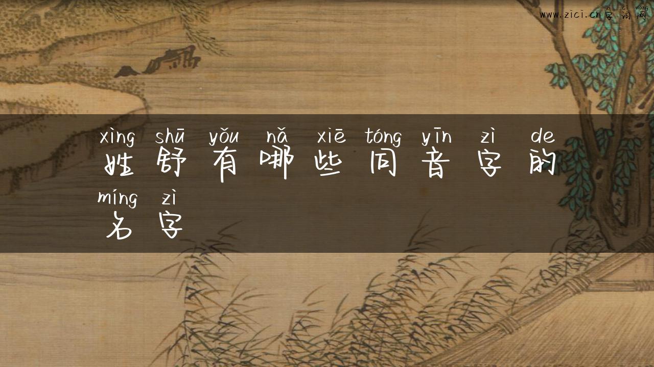 姓舒有哪些同音字的名字