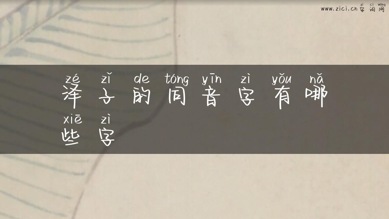 泽子的同音字有哪些字