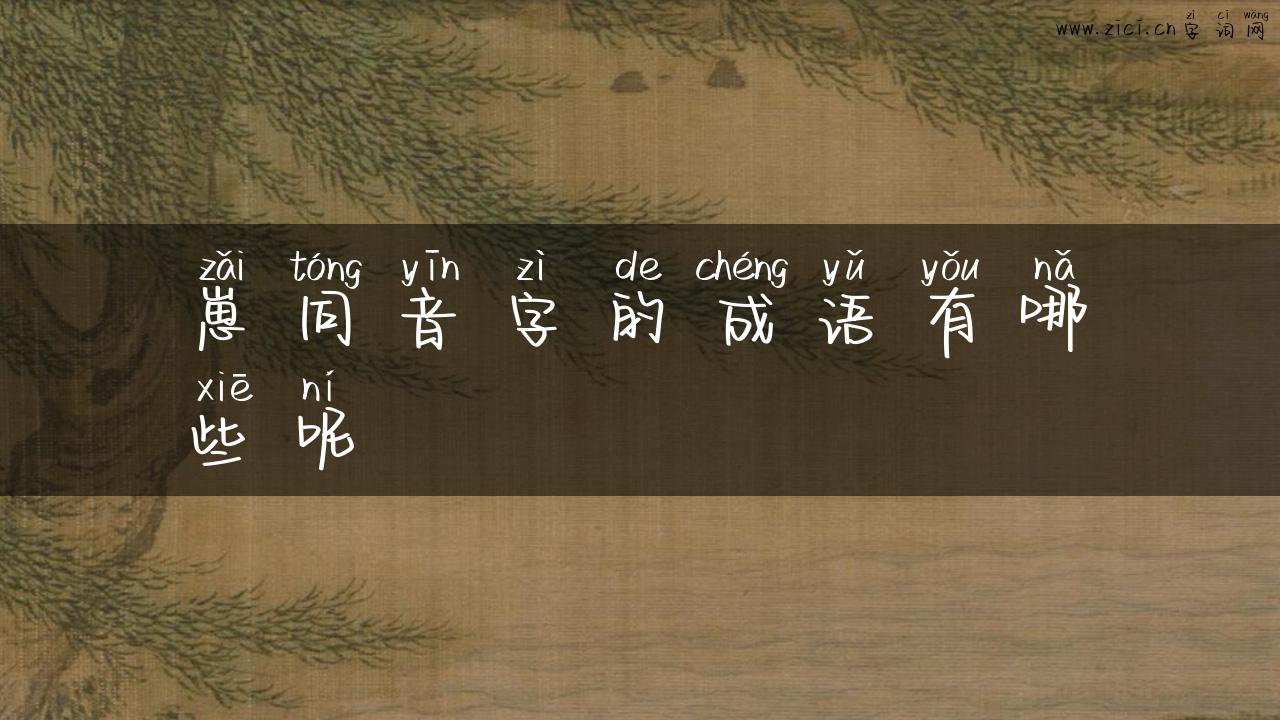 崽同音字的成语有哪些呢