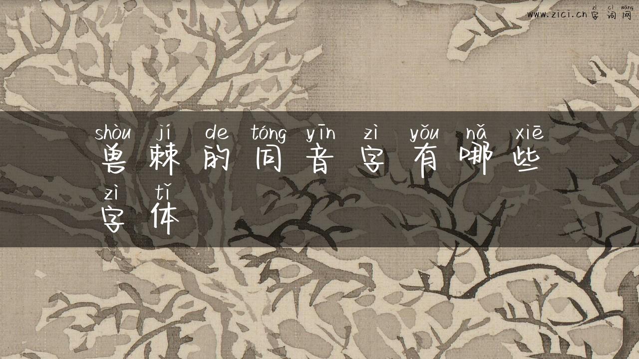 兽棘的同音字有哪些字体