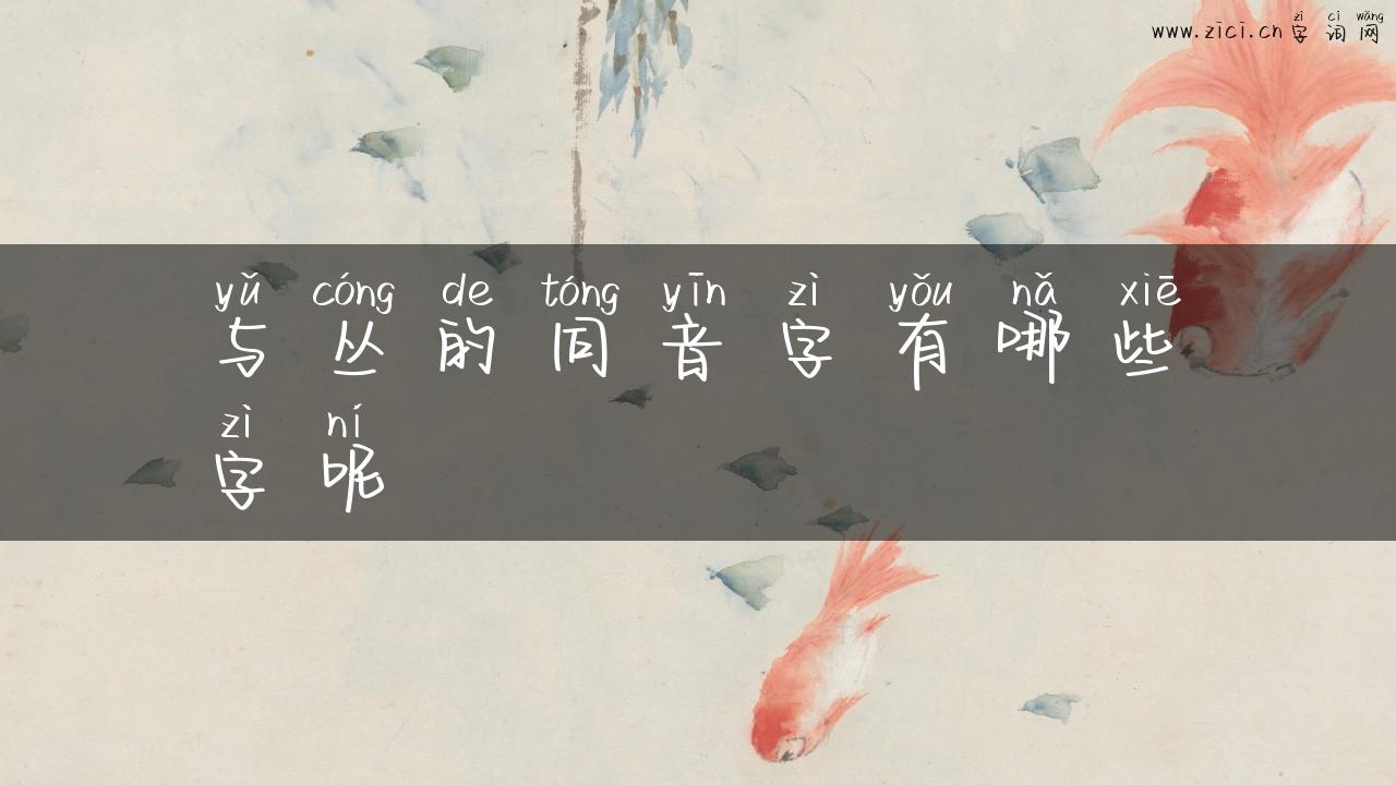 与丛的同音字有哪些字呢