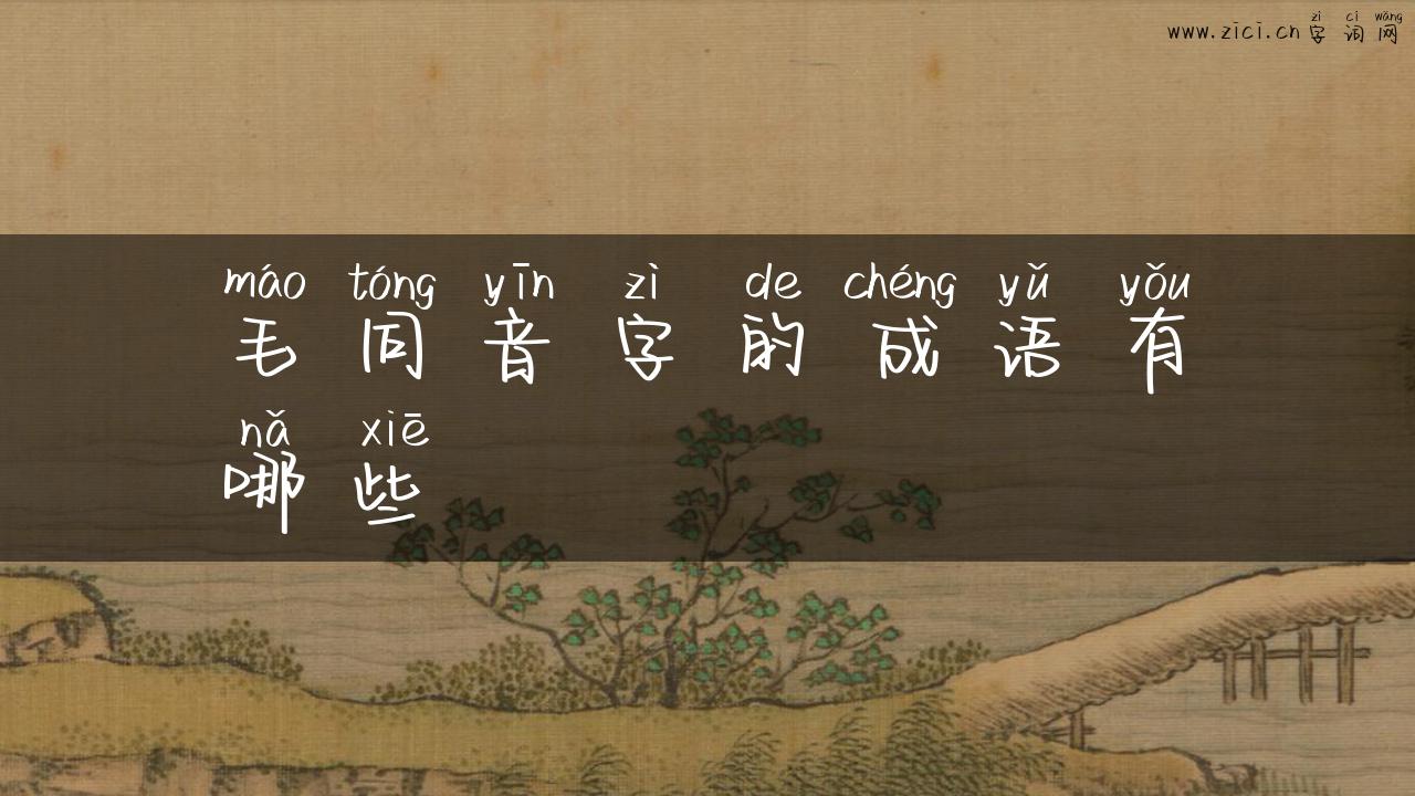 毛同音字的成语有哪些