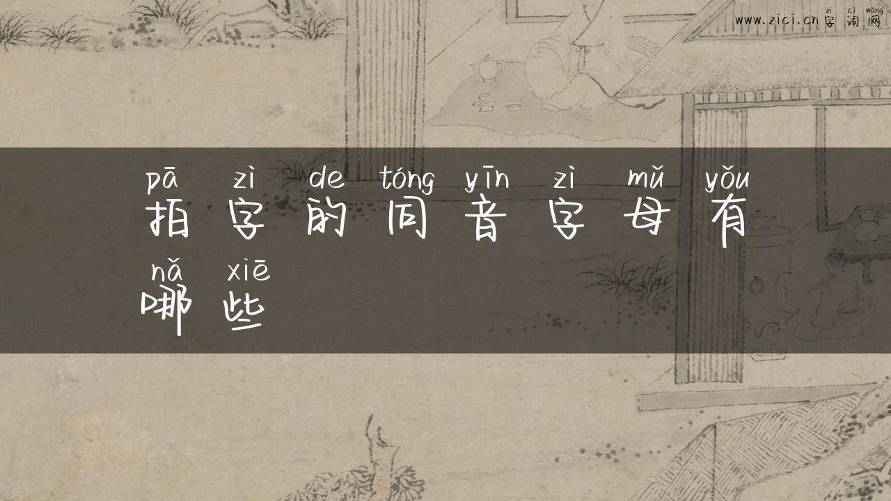 拍字的同音字母有哪些