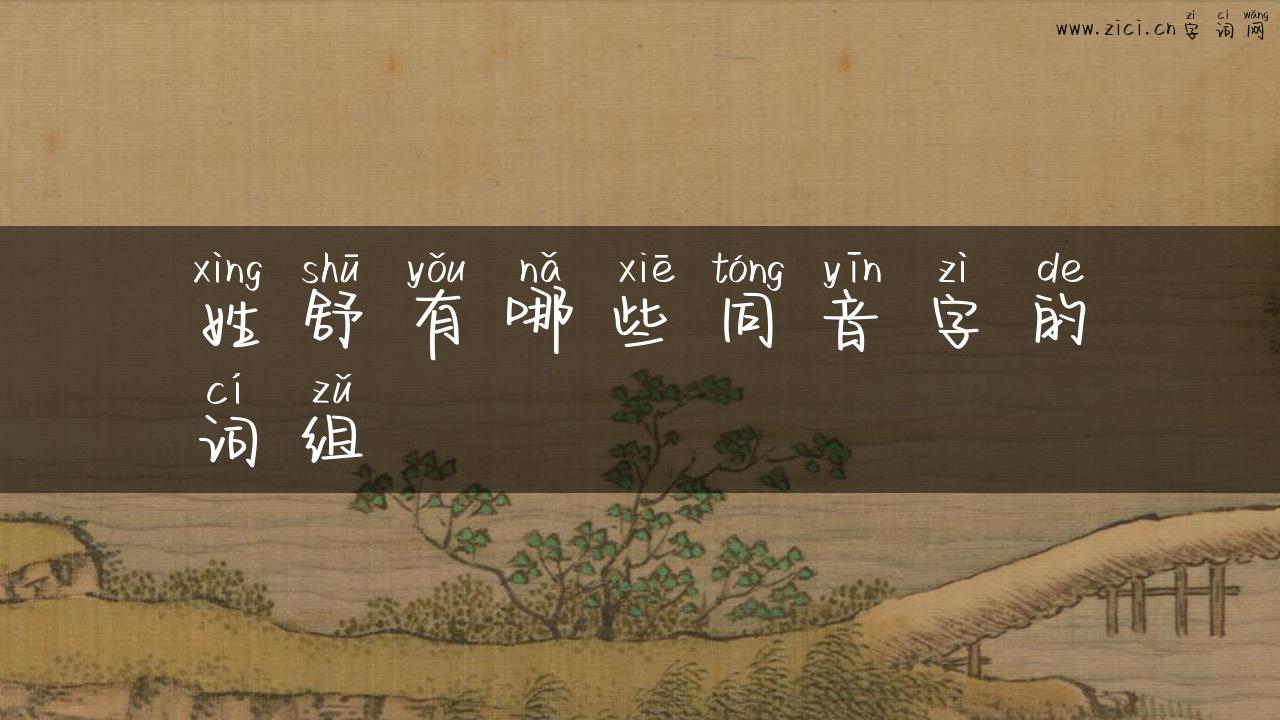 姓舒有哪些同音字的词组
