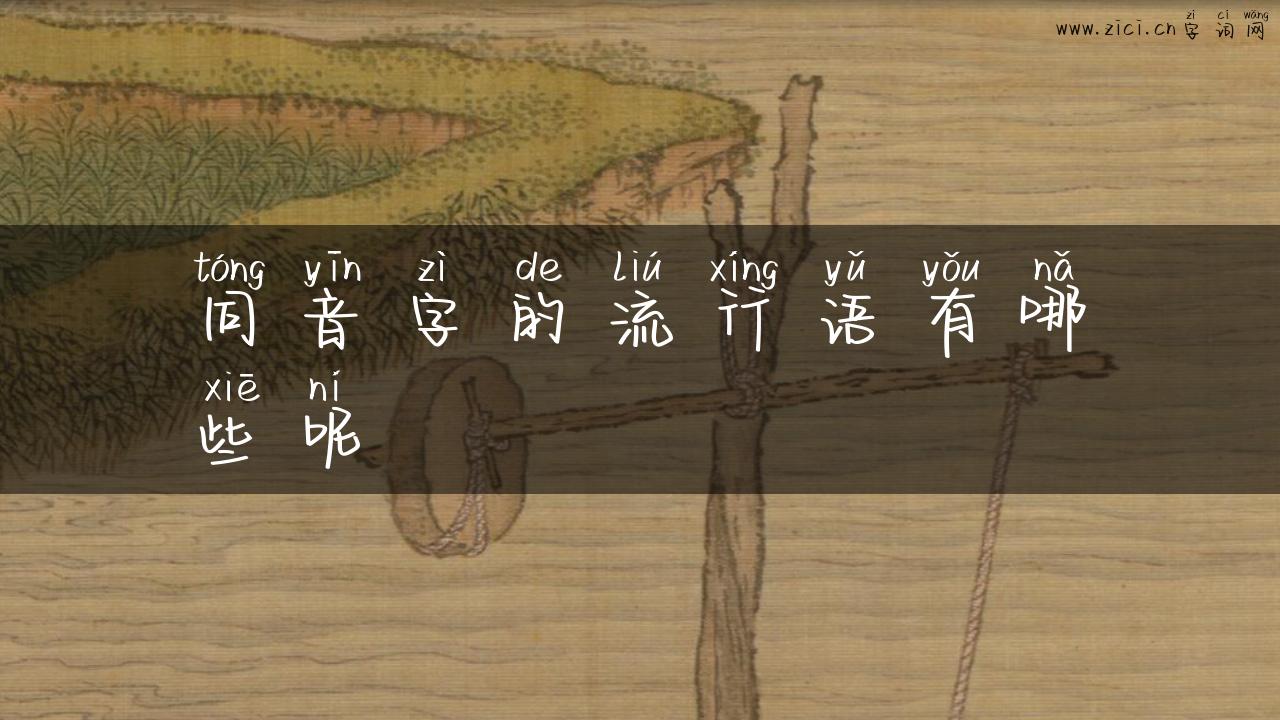 同音字的流行语有哪些呢