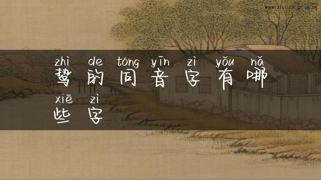鸷的同音字有哪些字