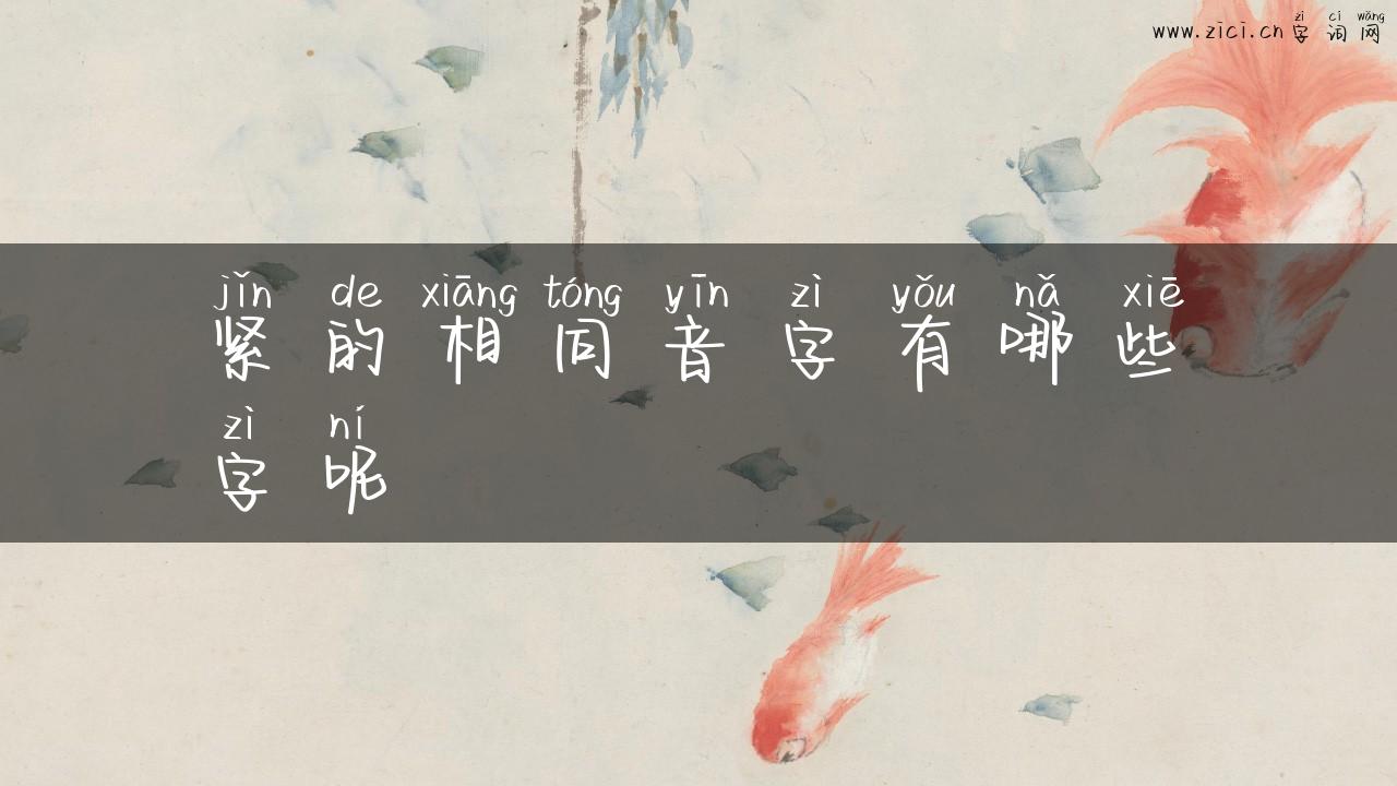 紧的相同音字有哪些字呢