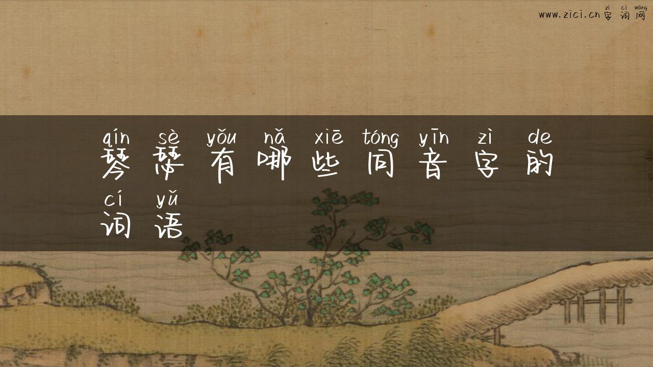 琴瑟有哪些同音字的词语