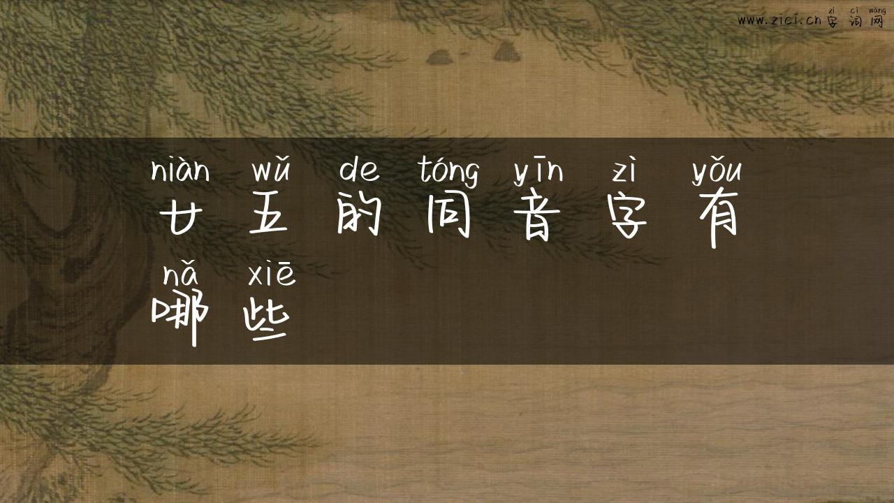 廿五的同音字有哪些