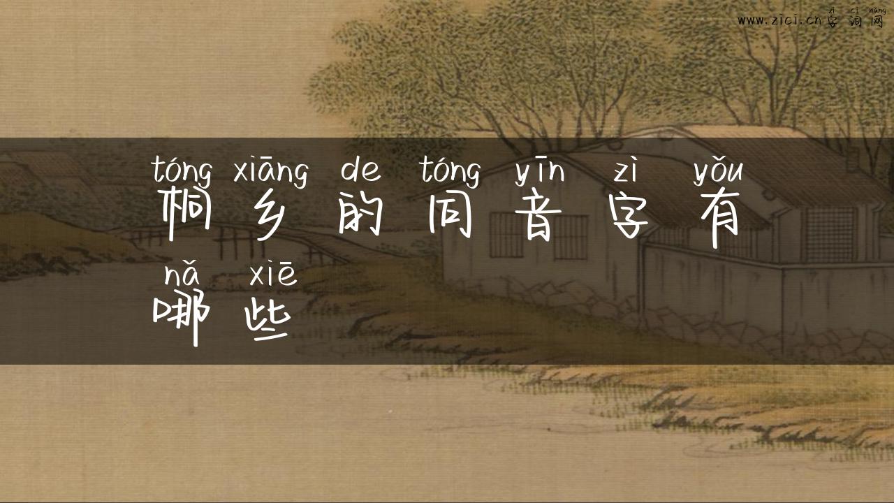 桐乡的同音字有哪些