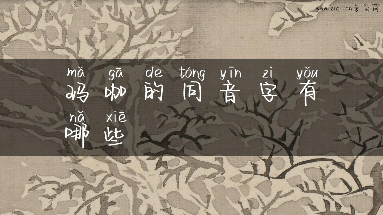 玛咖的同音字有哪些
