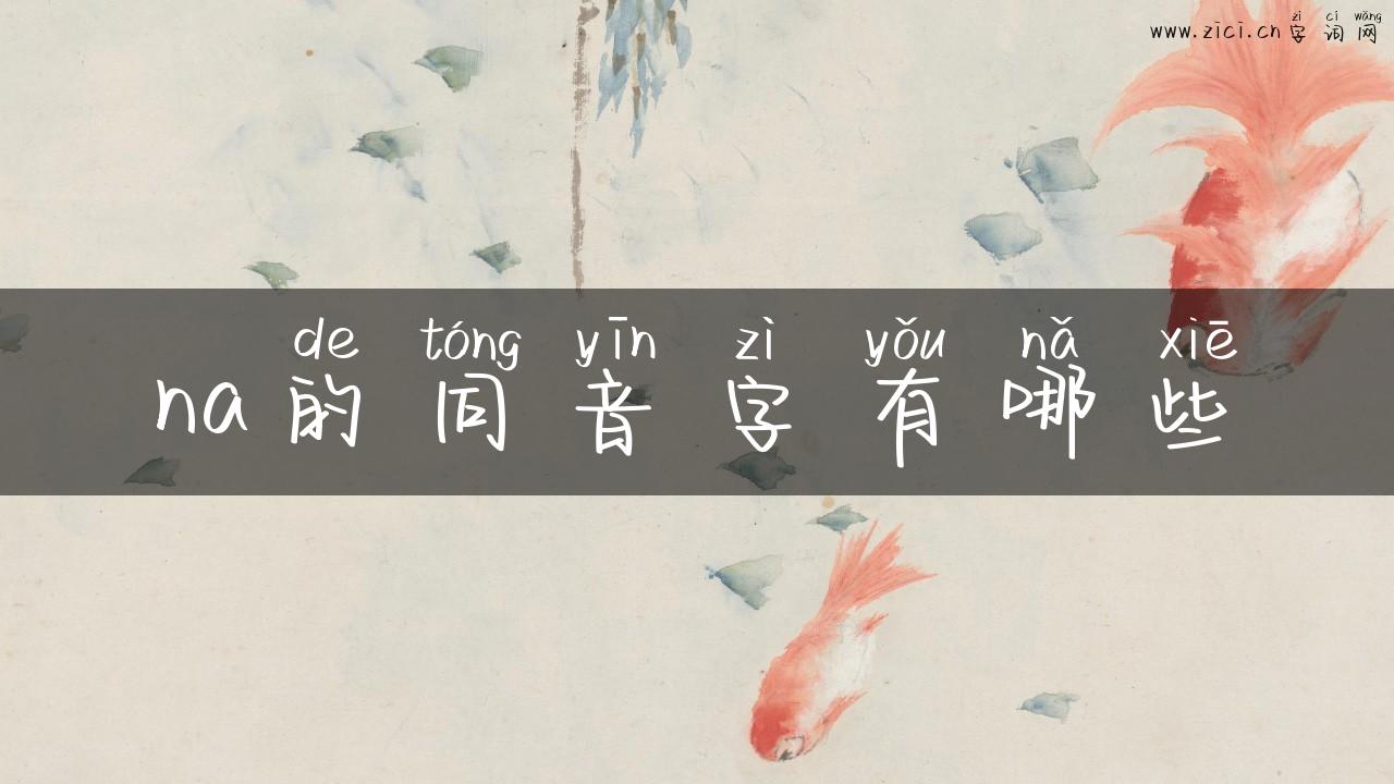 na的同音字有哪些