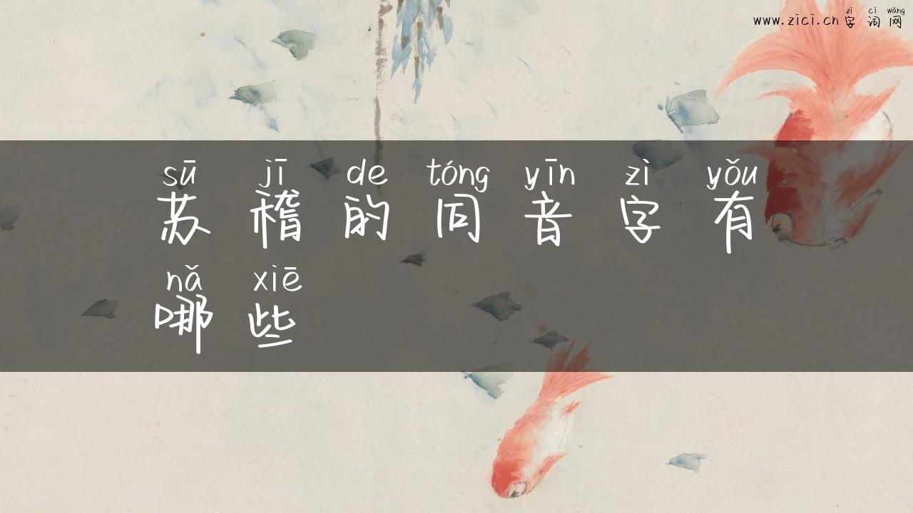 苏稽的同音字有哪些