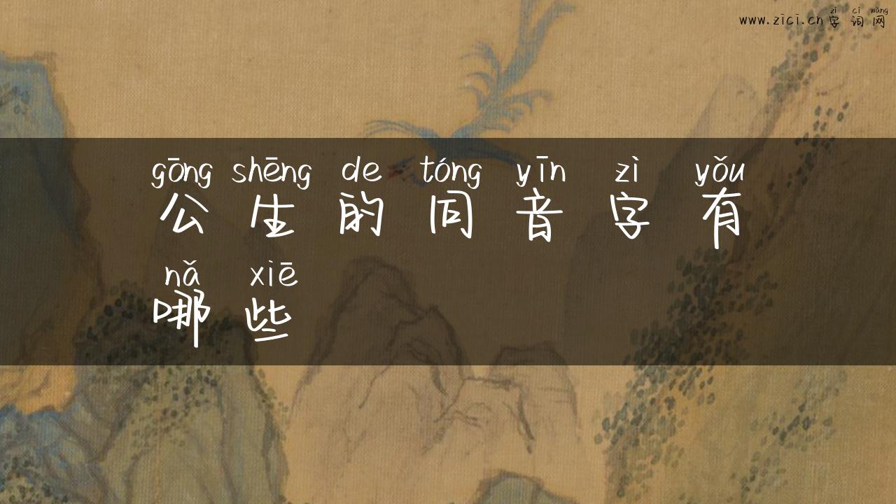 公生的同音字有哪些