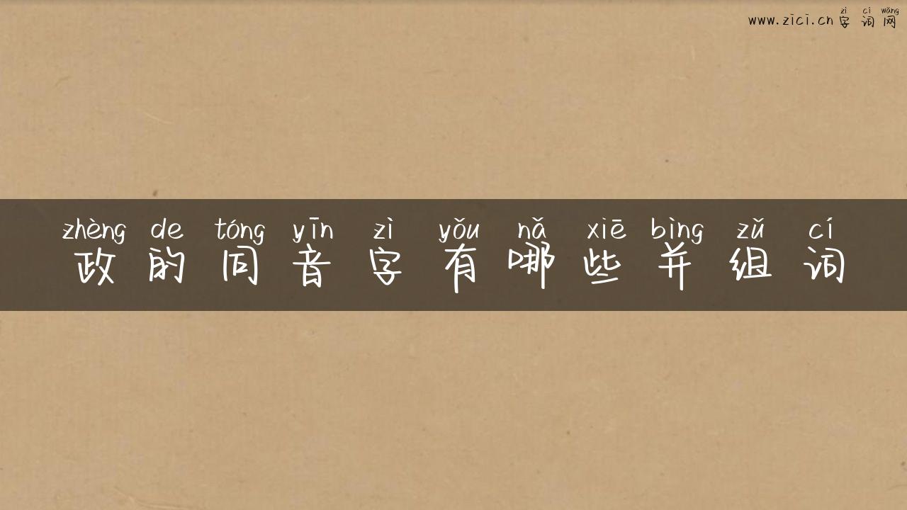 政的同音字有哪些并组词