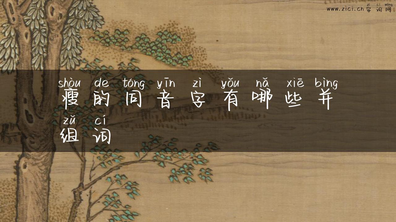瘦的同音字有哪些并组词