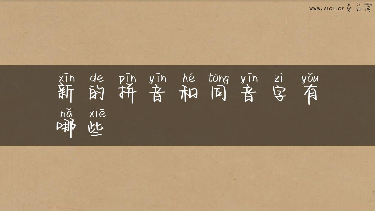 新的拼音和同音字有哪些