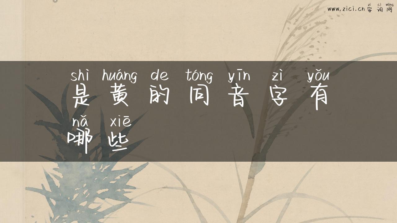 是黄的同音字有哪些