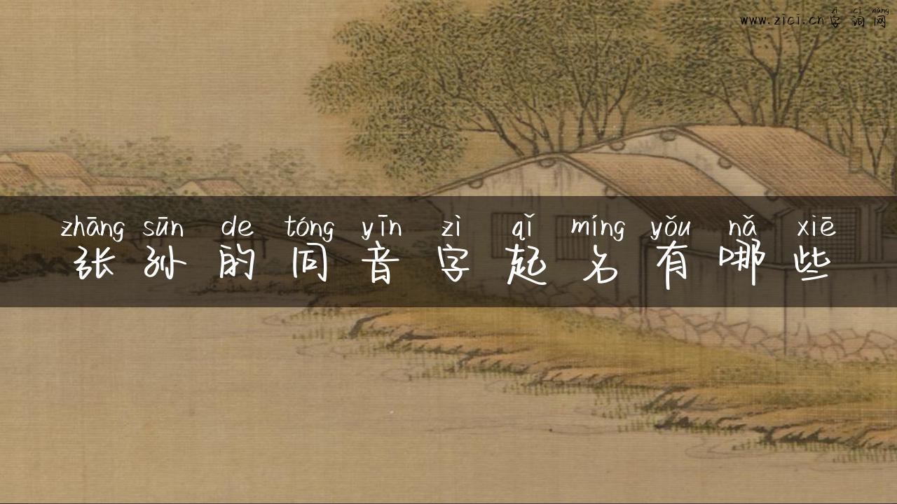 张孙的同音字起名有哪些