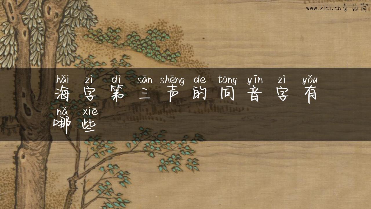海字第三声的同音字有哪些