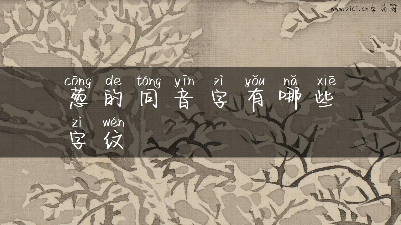 葱的同音字有哪些字纹