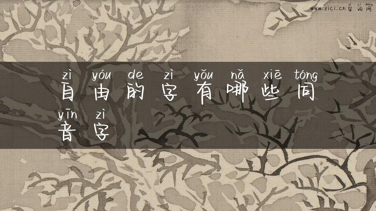自由的字有哪些同音字