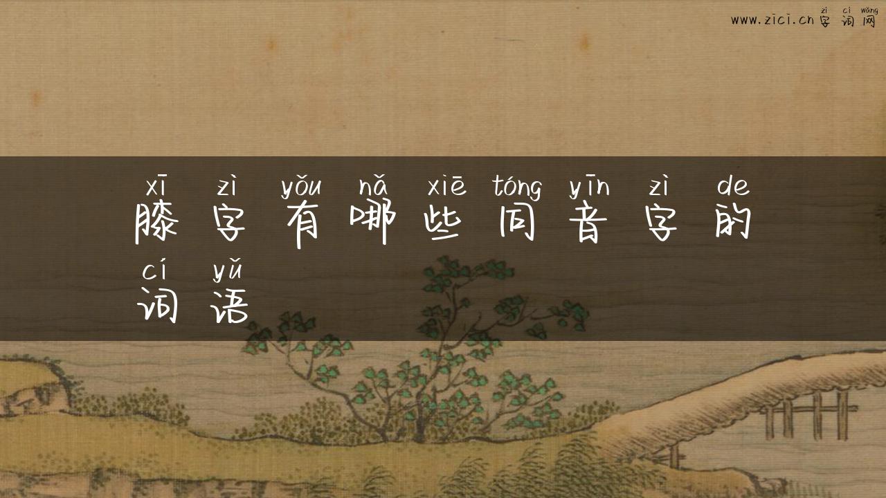膝字有哪些同音字的词语