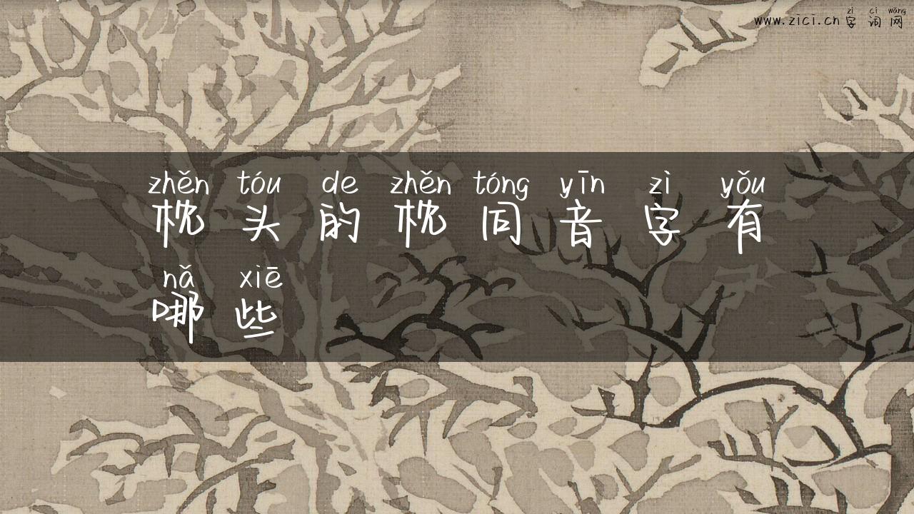 枕头的枕同音字有哪些
