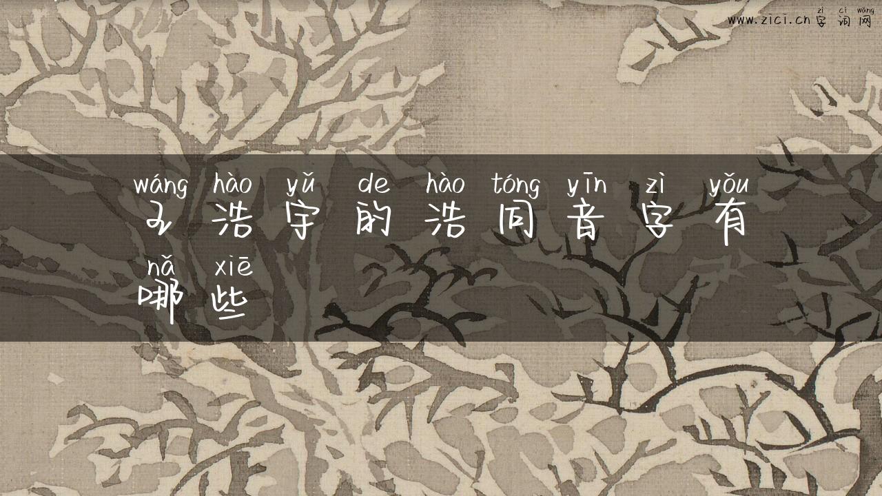 王浩宇的浩同音字有哪些