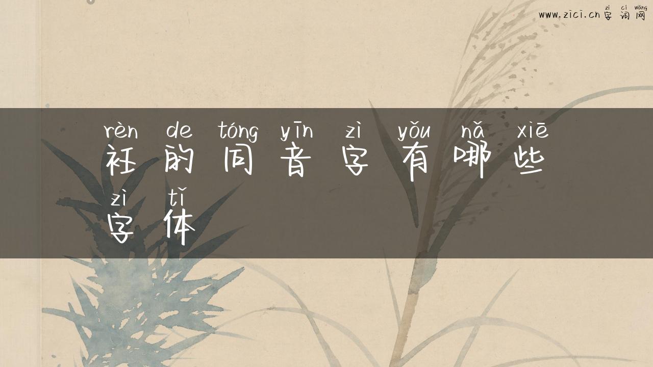 衽的同音字有哪些字体