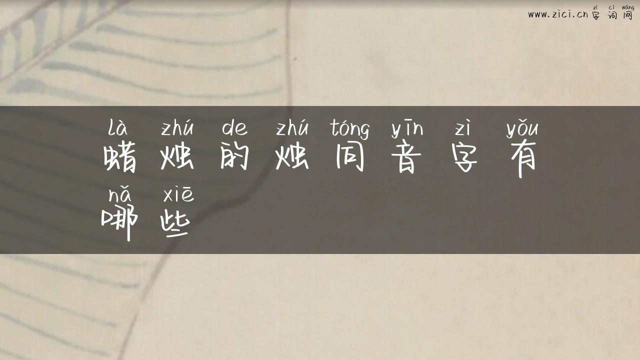 蜡烛的烛同音字有哪些