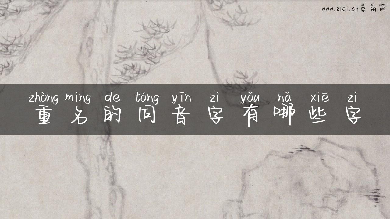 重名的同音字有哪些字
