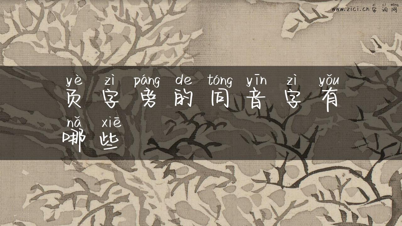 页字旁的同音字有哪些